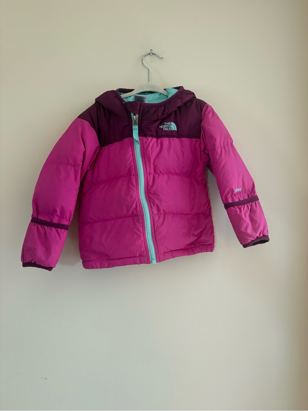 The North Face Girls Pink Hooded Puffer Jacket with Teal Zip 18-24M